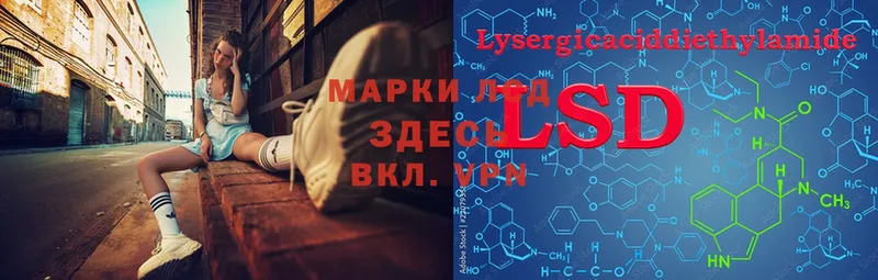 Лсд 25 экстази ecstasy  Макушино 